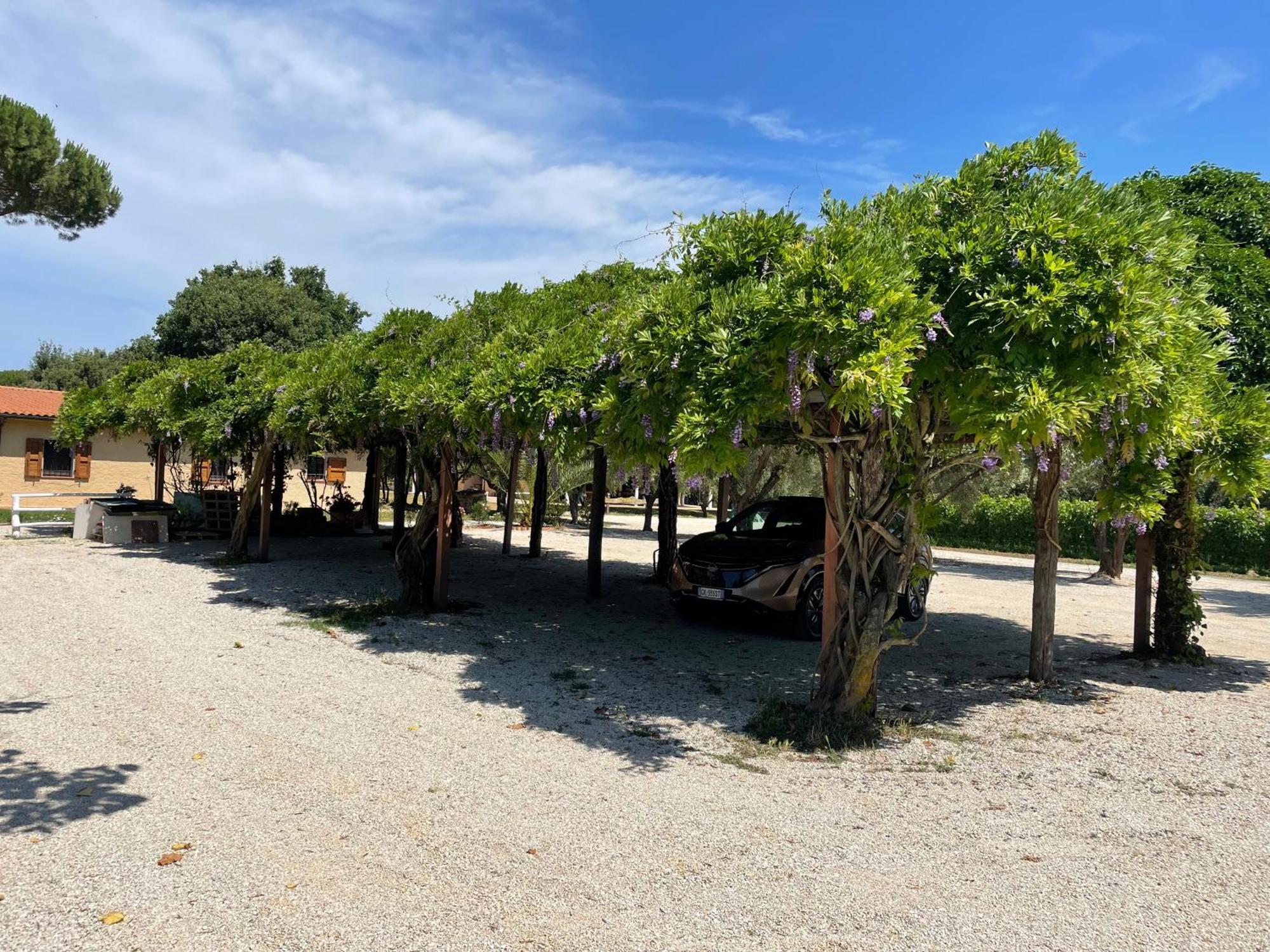 Agriturismo La Valle - By Podere Arundineto Кастаньєто-Кардуччі Екстер'єр фото